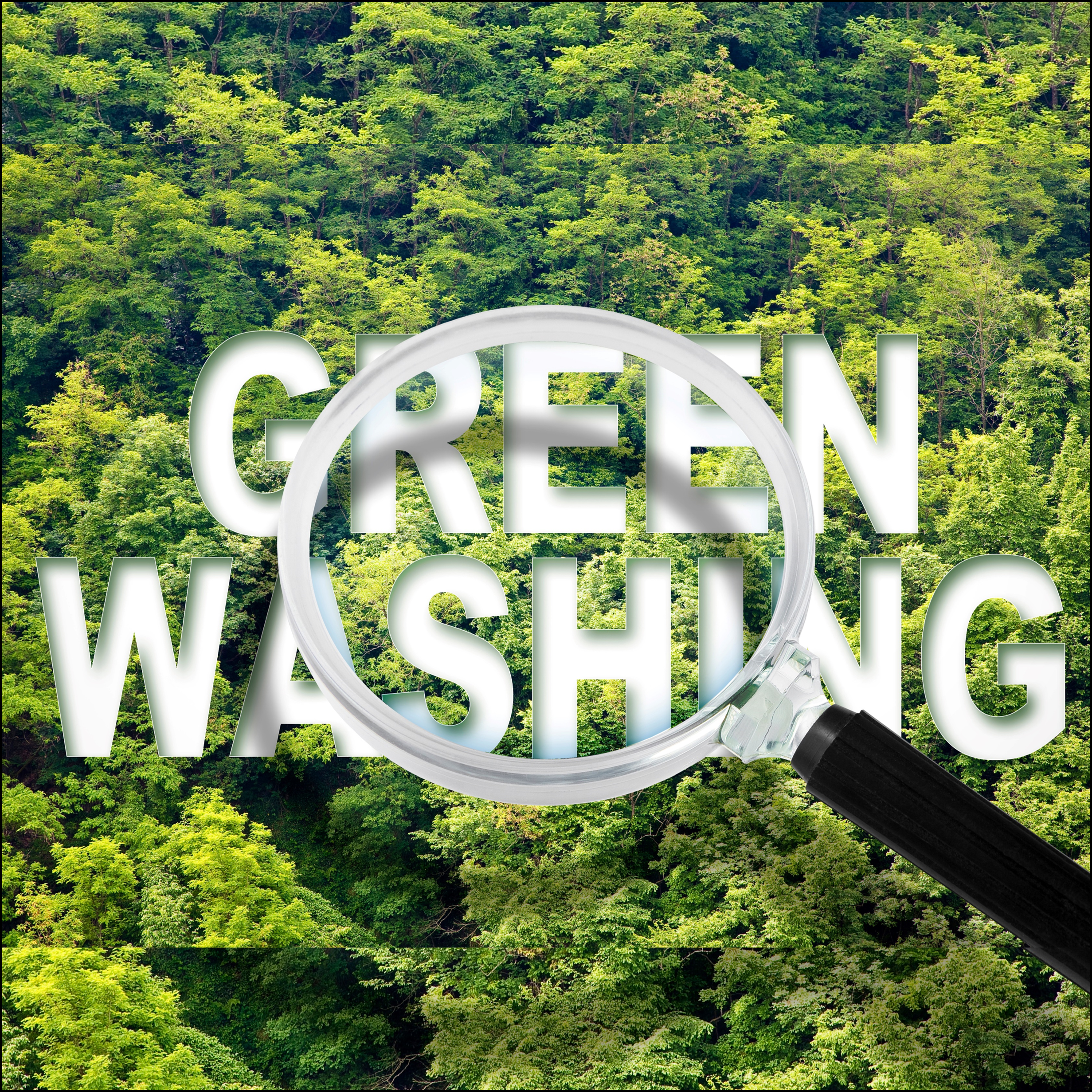 link to https://www.placon.com/resources/news/am-i-susceptible-to-greenwashing/