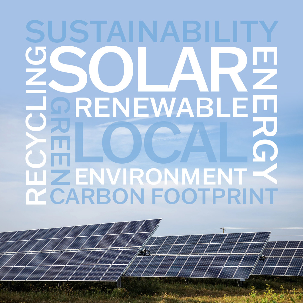 link to https://www.placon.com/resources/news/sustainable-packaging-solutions-for-medical-packaging/
