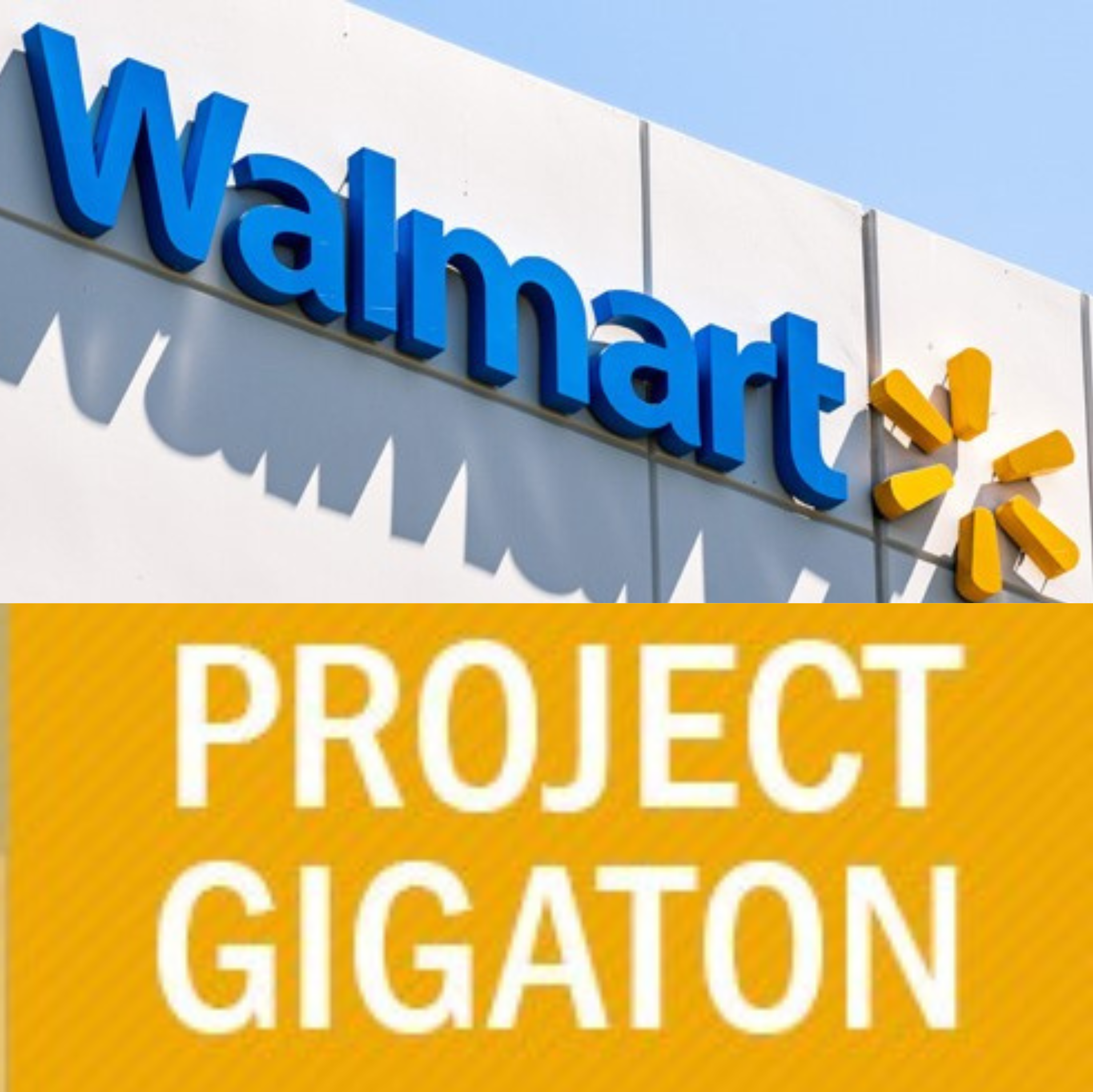 link to https://www.placon.com/resources/news/walmart-project-gigaton/