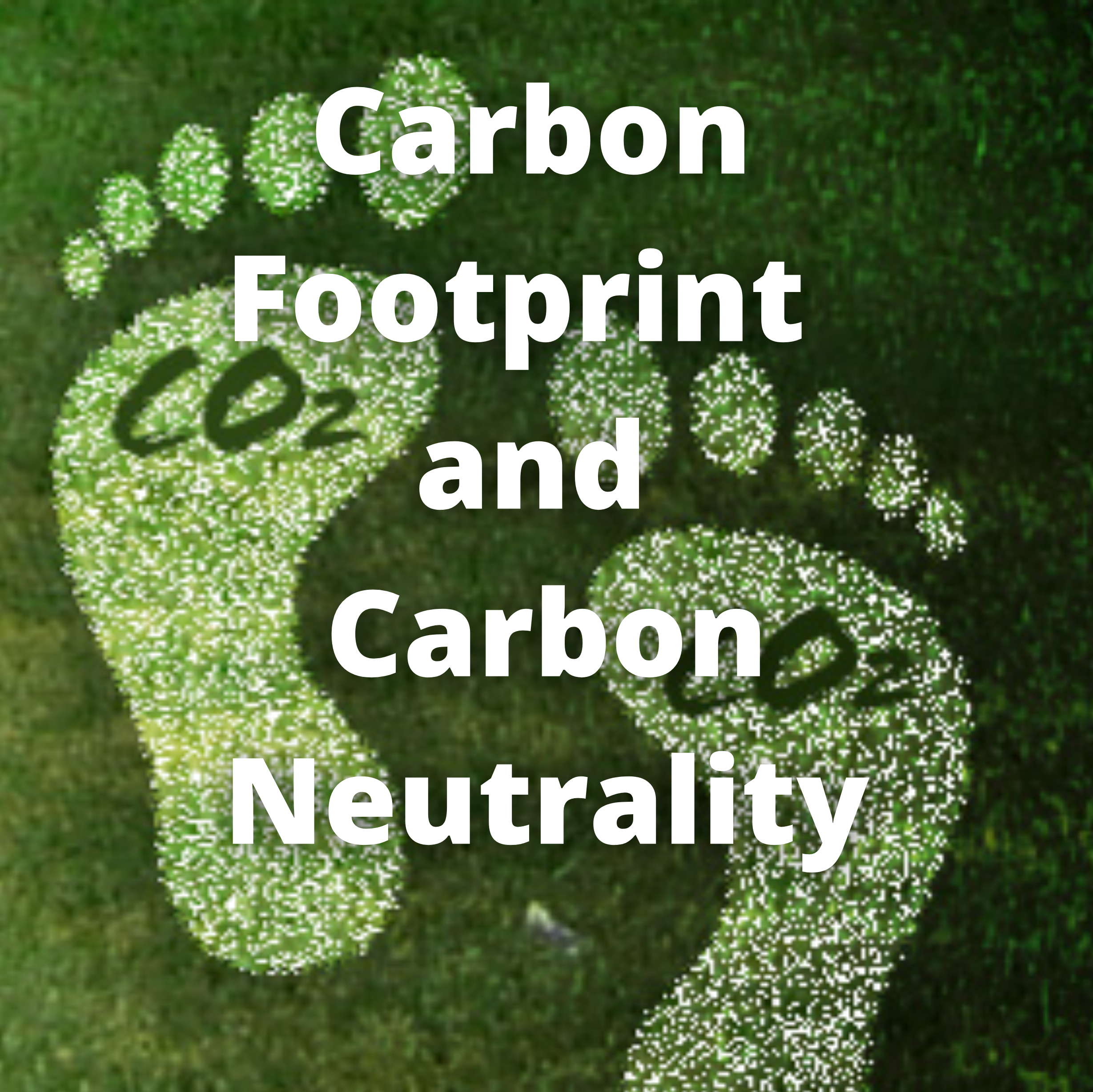 link to https://www.placon.com/resources/news/cabon-footprint-and-carbon-neutral/