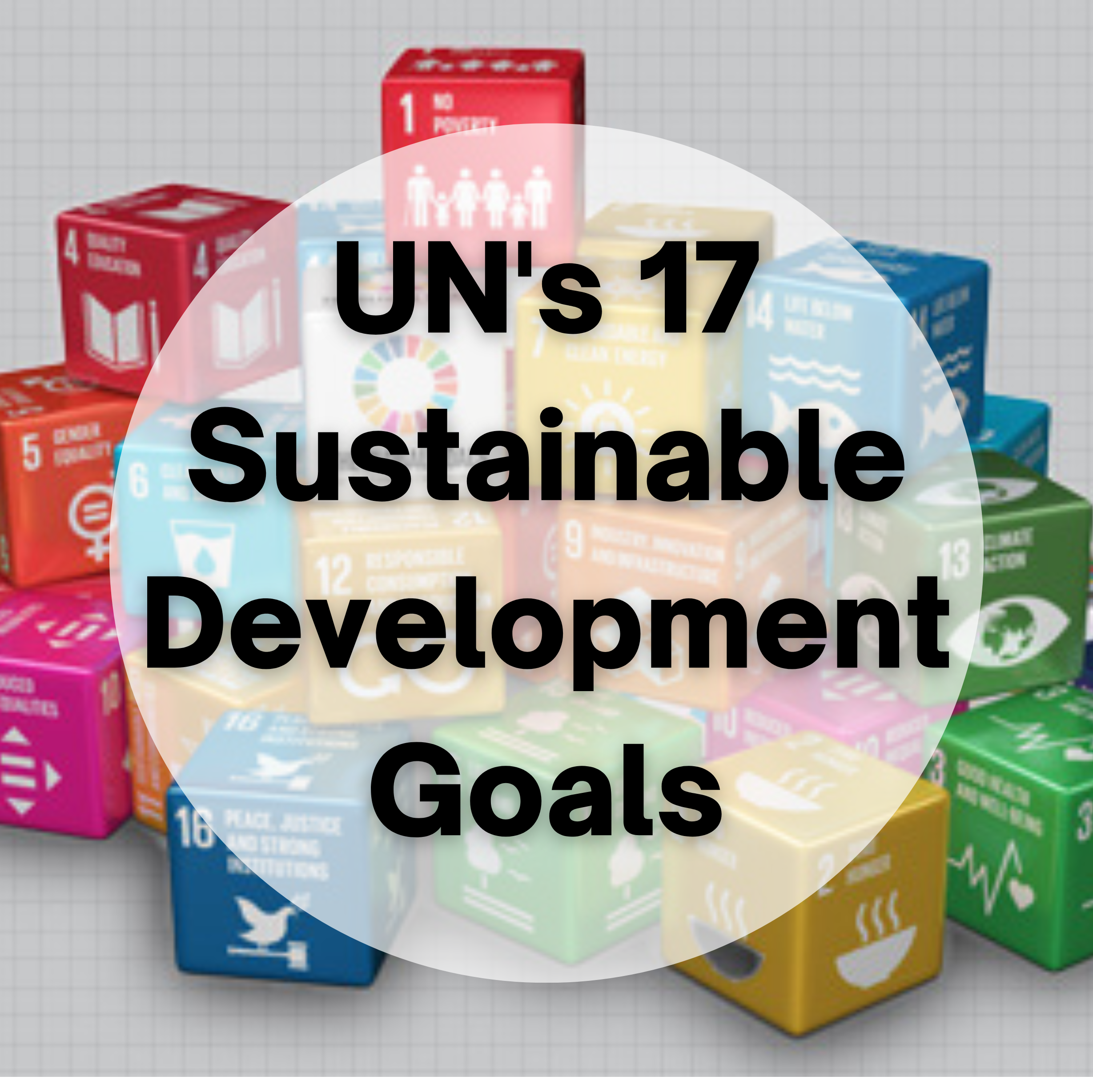link to https://www.placon.com/resources/news/united-nations-sustainable-development-goals/