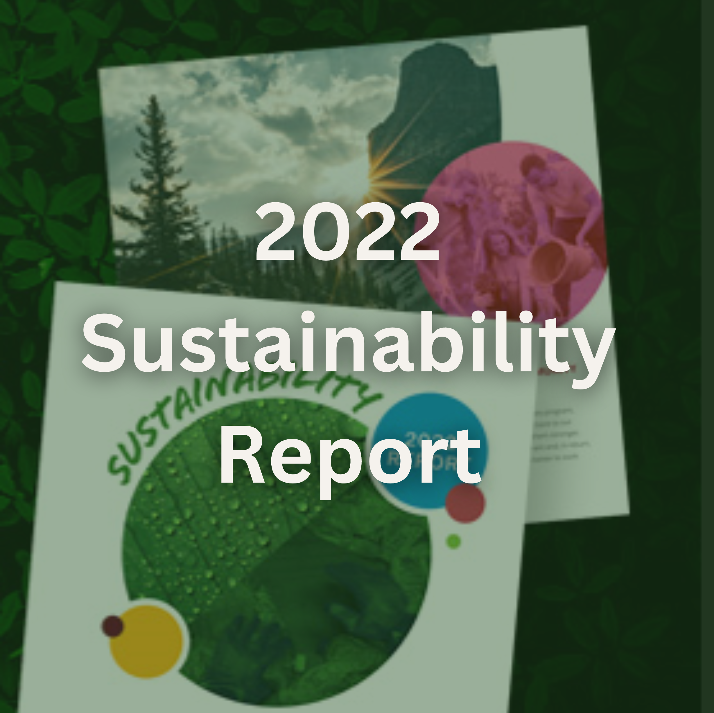 link to https://www.placon.com/resources/news/2022-sustainability-report/