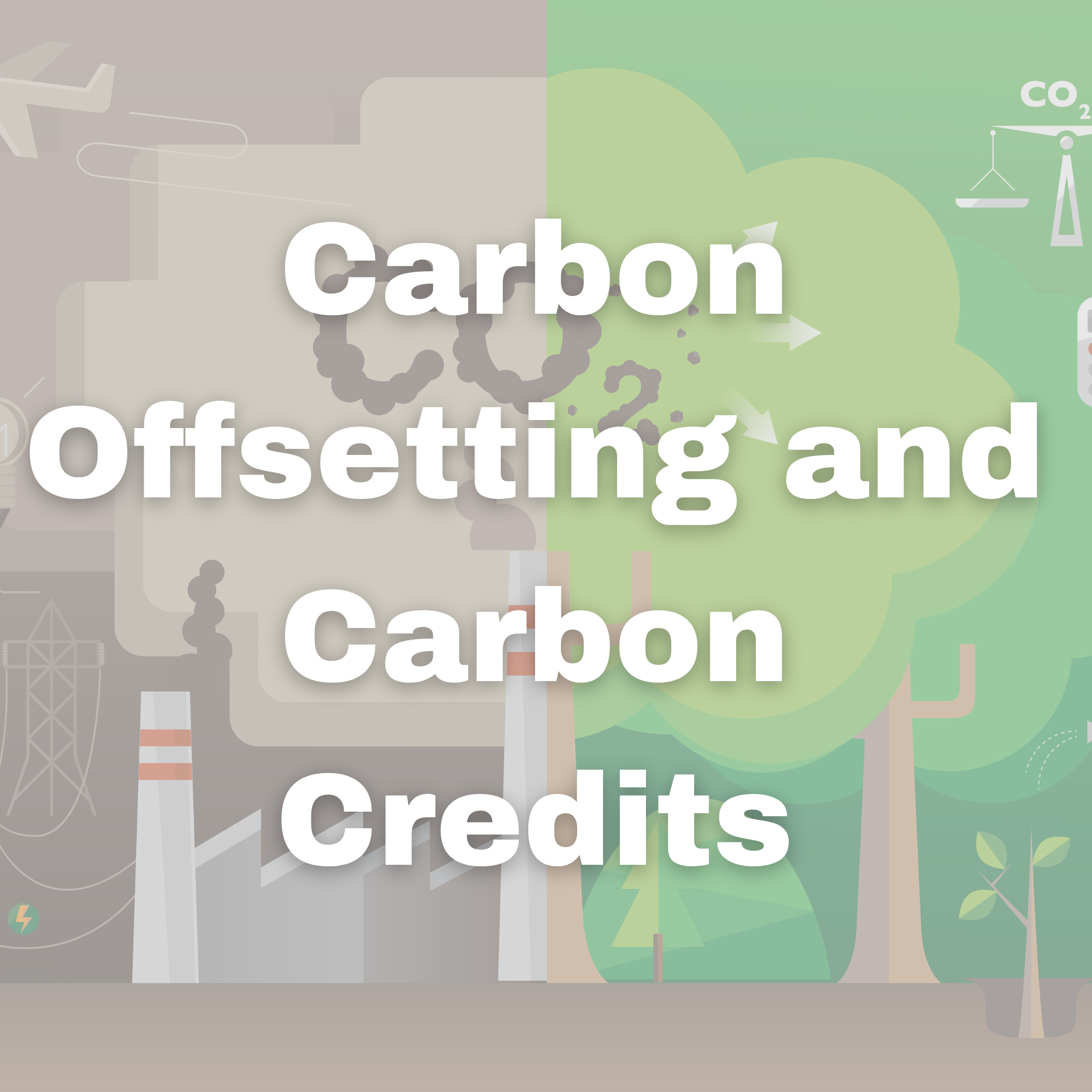 link to https://www.placon.com/resources/news/carbon-offsetting/