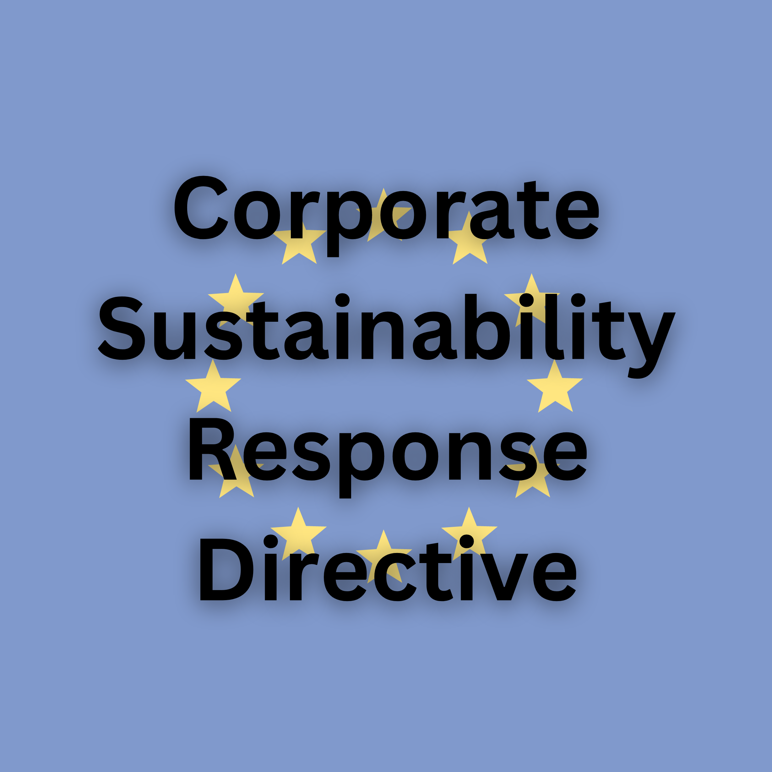 link to https://www.placon.com/resources/news/corporate-sustainability-response-directive/