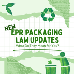 link to https://www.placon.com/resources/news/epr-law-updates-what-do-they-mean-for-you/