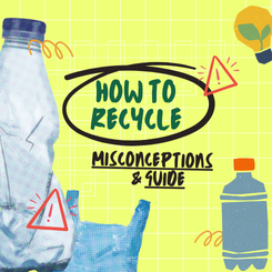 link to https://www.placon.com/resources/news/october-14-how-to-recycle-misconceptions-guide/