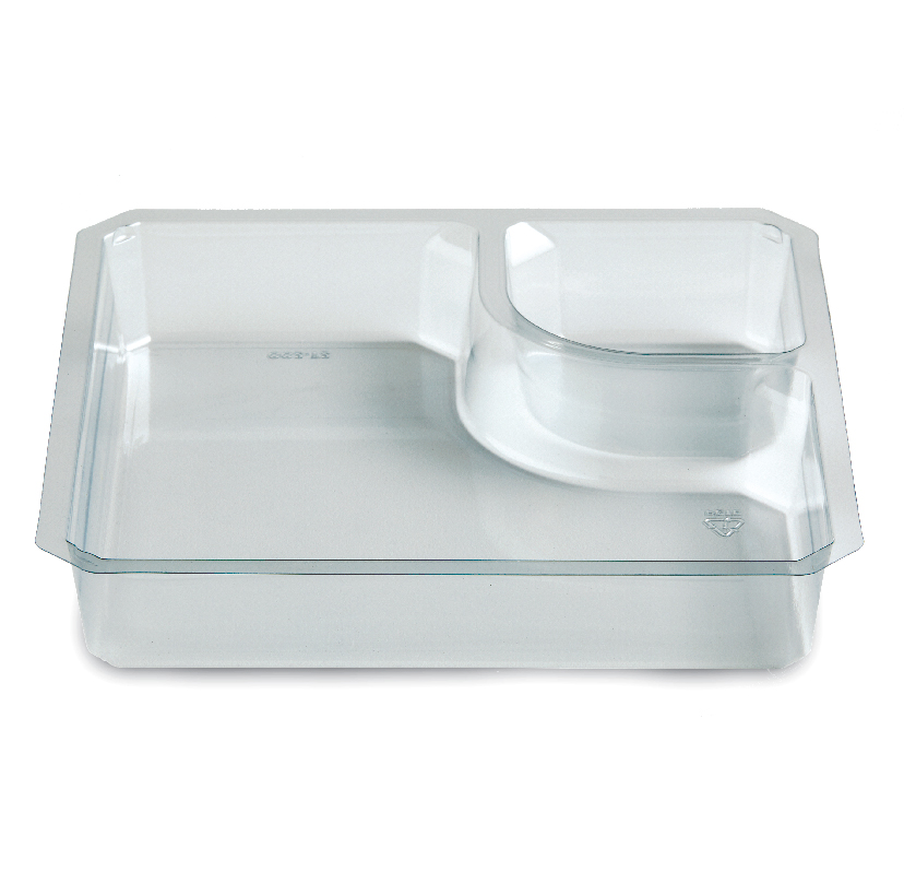 Clear plastic divided food storage container with a fitted lid